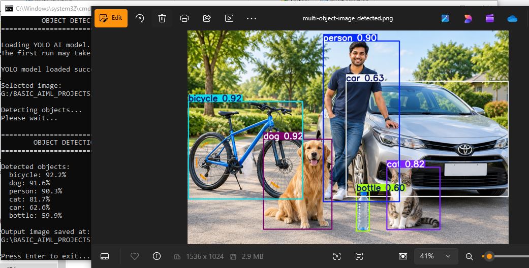 Object Detection application output showing detected objects with bounding boxes and labels