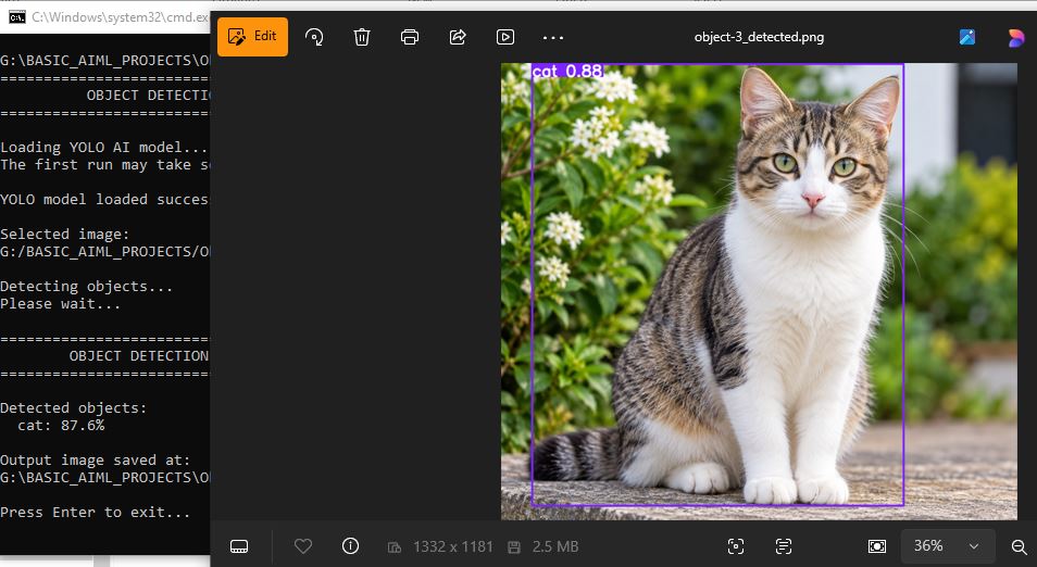 Object detection test result showing detected objects with bounding boxes